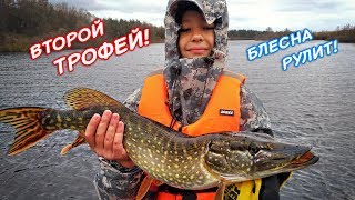 Ссылка