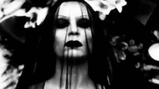 Fangoria - Gracias pero No