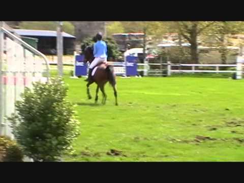 Visare Dreamtime Rotorua 1* Pony Grand Prix