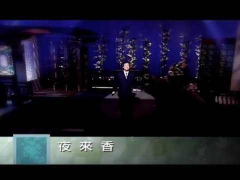 費玉清 Fei Yu-Ching - 夜來香 Tuberosa (官方完整版MV)