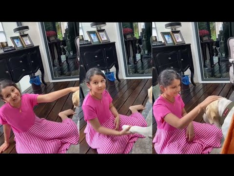 Super Star Mahesh Babu Daughter Sithara Playing With Her Pet Dog | Sitara Ghattamaneni Latest Video