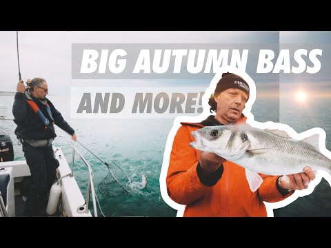 Soft Lures getting SMASHED in clear water! (Brighton Bass Fishing)