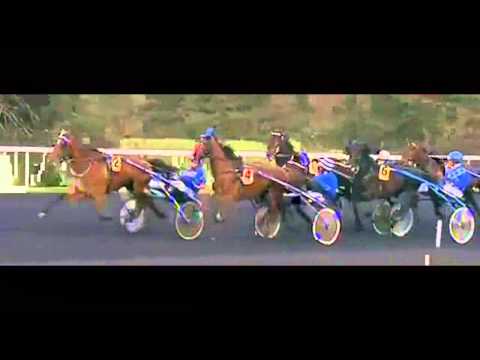 Prix De Blois 2012_Strong Boy (Ger) 1:12,7_Joakim Lövgren