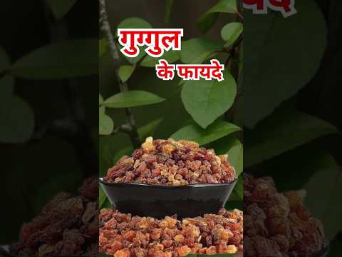 Guggul Tablets/Capsules