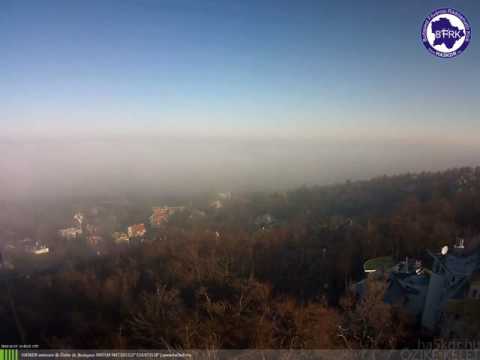 Őzike kelet 2016-12-15