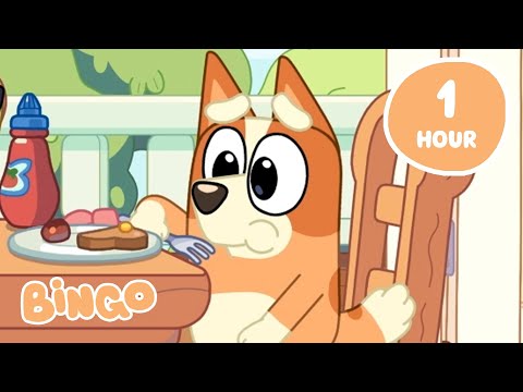🔴LIVE: Bingo's Big Adventures 😍 🧡 | Adorable Bluey Moments | Bingo