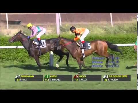 DACITA - 2014 Las Oaks (G1, 2000m)