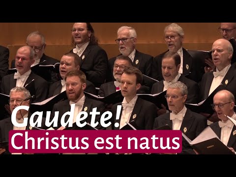 Gaudete - Christus est natus | für Männerchor | KMGV | Weihnachten in Köln