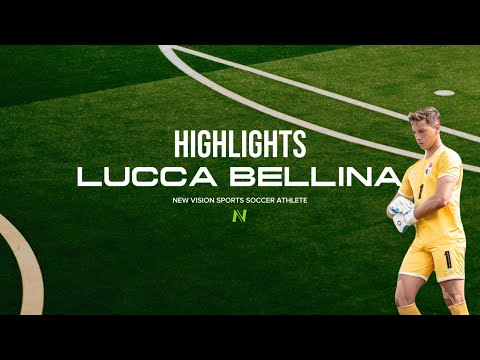 Highlights video