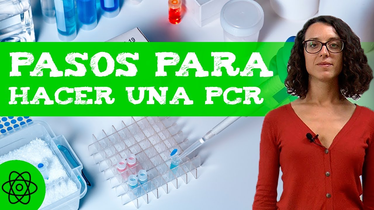 Cómo se hace una PCR 🧬 (Pasos para hacerla)