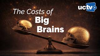 CARTA: The Costs of Big Brains with Alex Pollen