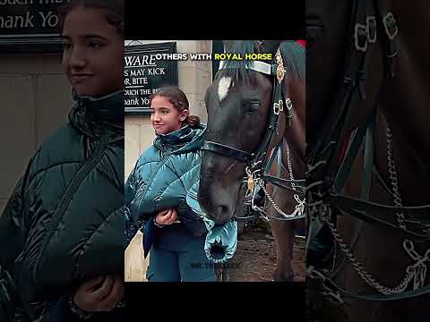 Royal Horse Bows To Respect ❤️‍🩹 #shorts