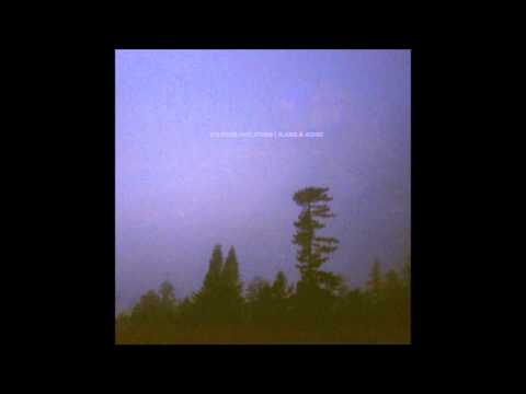 WE WERE SKELETONS Disease Artist