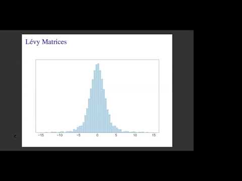 Lévy Matrices - Patrick Lopatto
