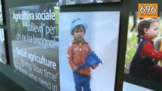 terra-dei-fuochi-de-luca-il-97-della-campania-e-pulito