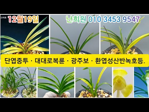 유튜브 썸네일