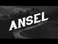 Ansel by Modest Mouse (Lyrics)