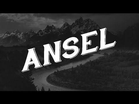 Ansel by Modest Mouse (Lyrics)