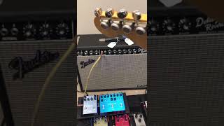 Video thumbnail for Fender Reflecting Pool Delay Reverb Pedal & Tone Master Deluxe Reverb by stilwel