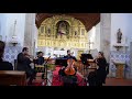 Artmusic Ensemble - Branle de la torche (Michael Praetorius) & Como podem (Cantiga de Santa Maria)