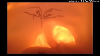 Travis Scott - Hot Sauce (deef&#39;s ambient loop special fx bootleg)