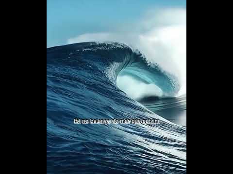 ponto de Martim pescador adeus camarada