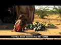 Thar The Great Indian Desert