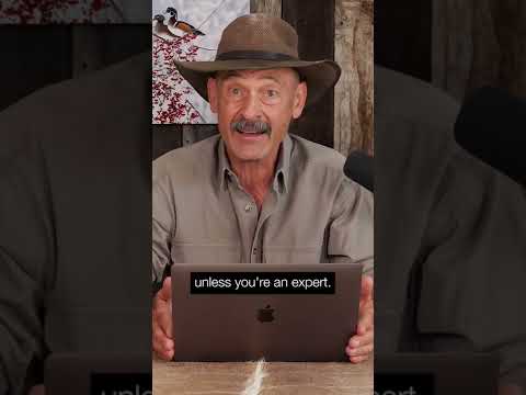 .22-250 Remington - Will It Hunt? [Bullet Drop, Scope Dials, and MORE]