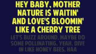 [On Screen Lyrics] Keith Anderson - Pickin Wildflowers