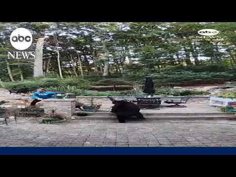 Ring camera captures bear chasing homeowner