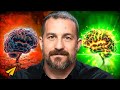Andrew Huberman S Top 10 Rules For Success