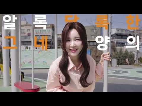 비디오 11