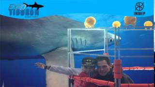 DIA 3 Expo Tiburon63