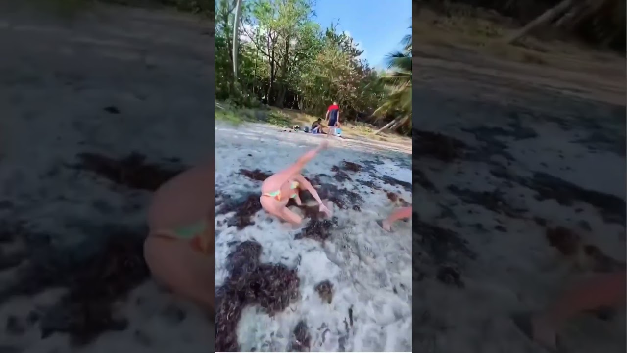 Girl Throws Another Girl