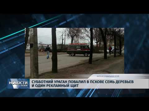 23.04.2018 # Субботний ураган повалил в Пскове семь деревьев и один рекламный щит