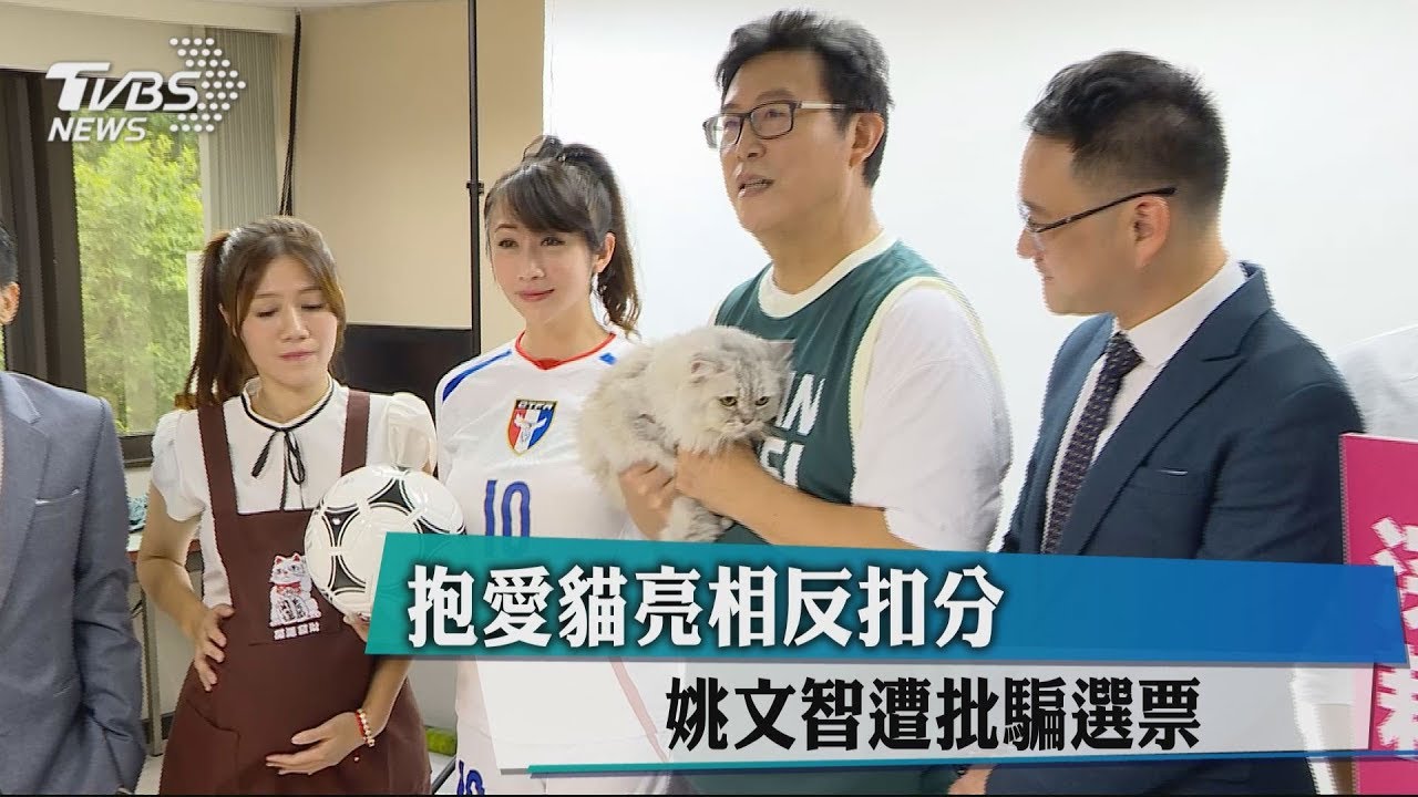 抱愛貓吸票反討罵 姚文智:我待貓如家人