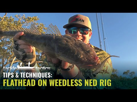 Flathead on Soft Plastics - Weedless Ned Rig / ZMan 3.75" StreakZ