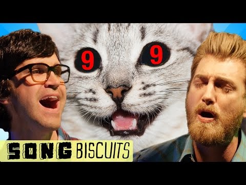 The Cat's 9 Lives Song