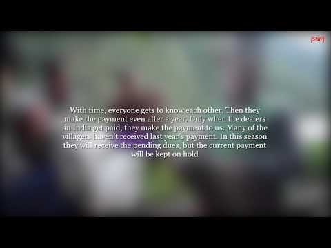 Video with quote