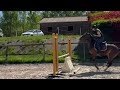 Ponette PFS sport CSO