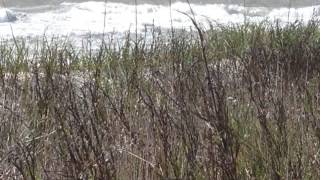 How You Learn To Live Alone 0001