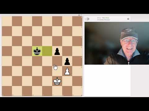 Dings unfassbarer WM-Patzer - und wie Schwarz richtig hätte weiterspielen müssen