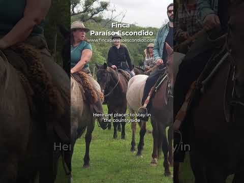 Uruguay Countryside - Where to Stay #Shorts