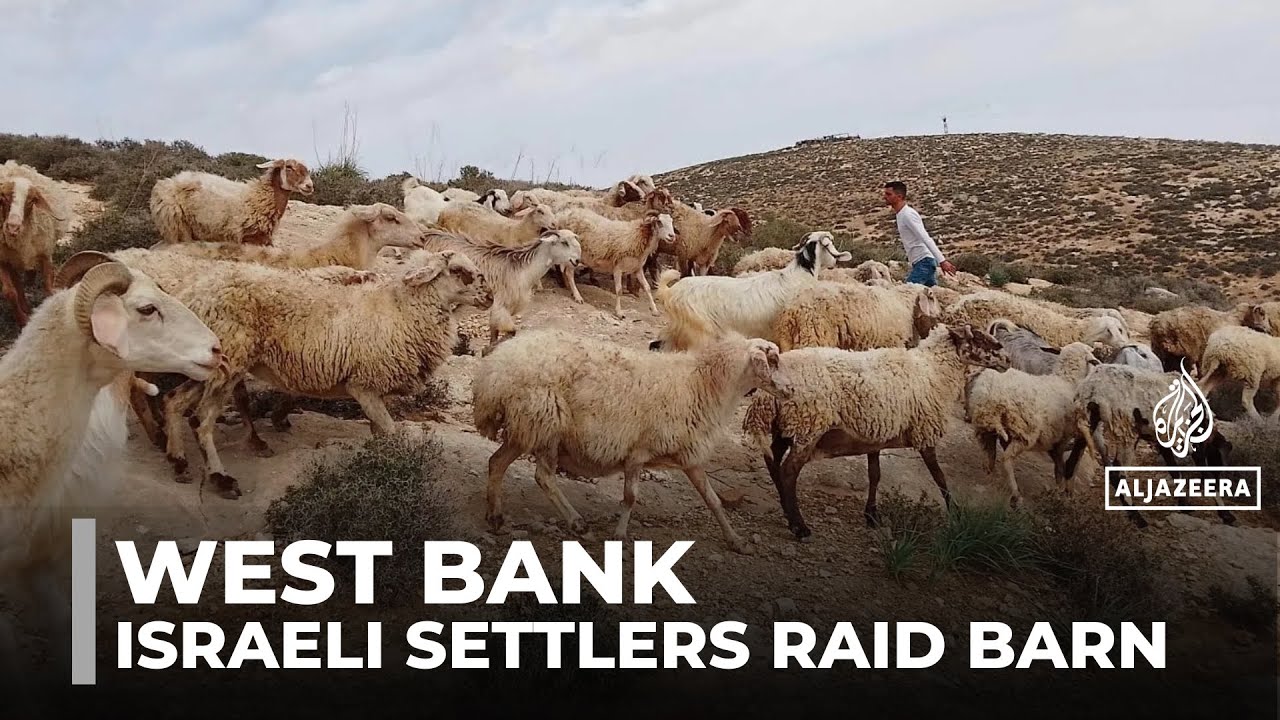 Israeli settlers raid barn: Palestinian family assaulted and animals killed
