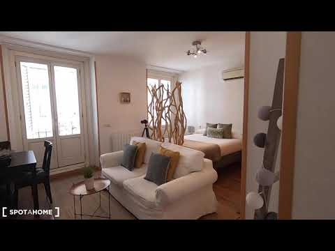 Chic studio apartment for rent in Centro - Spotahome (ref 351866)