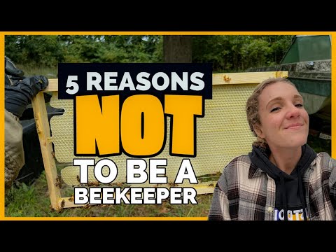 , title : 'WATCH THIS Before You Start Beekeeping! / Beekeeping 101 #beekeeping'