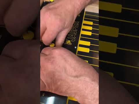 Jasper Synth - EDP Wasp Clone - MIDI IN - Finished DIY Kit image 9
