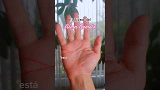 ✋👀💕¿Conocerás A tu Alma Gemela?✨ #quiromancia 💕#amor #vidaspasadas #love #pareja #novios #corazon
