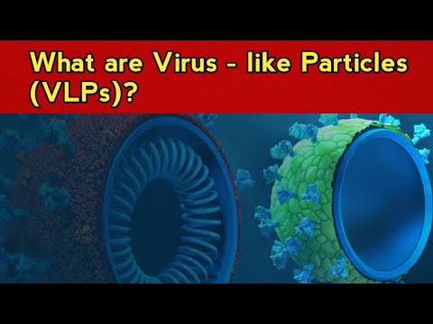 What are Virus - like Particles (VLPs)?