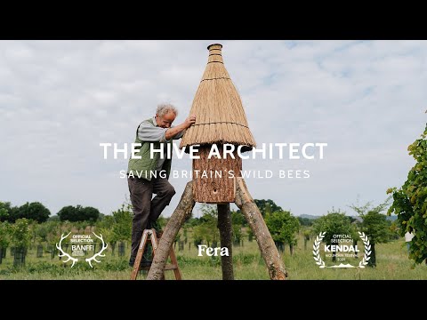 The Hive Architect | Saving Britain's Wild Bees